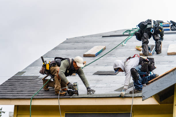 Professional Storm Damage Roof Repair technician working in Hysham, MT